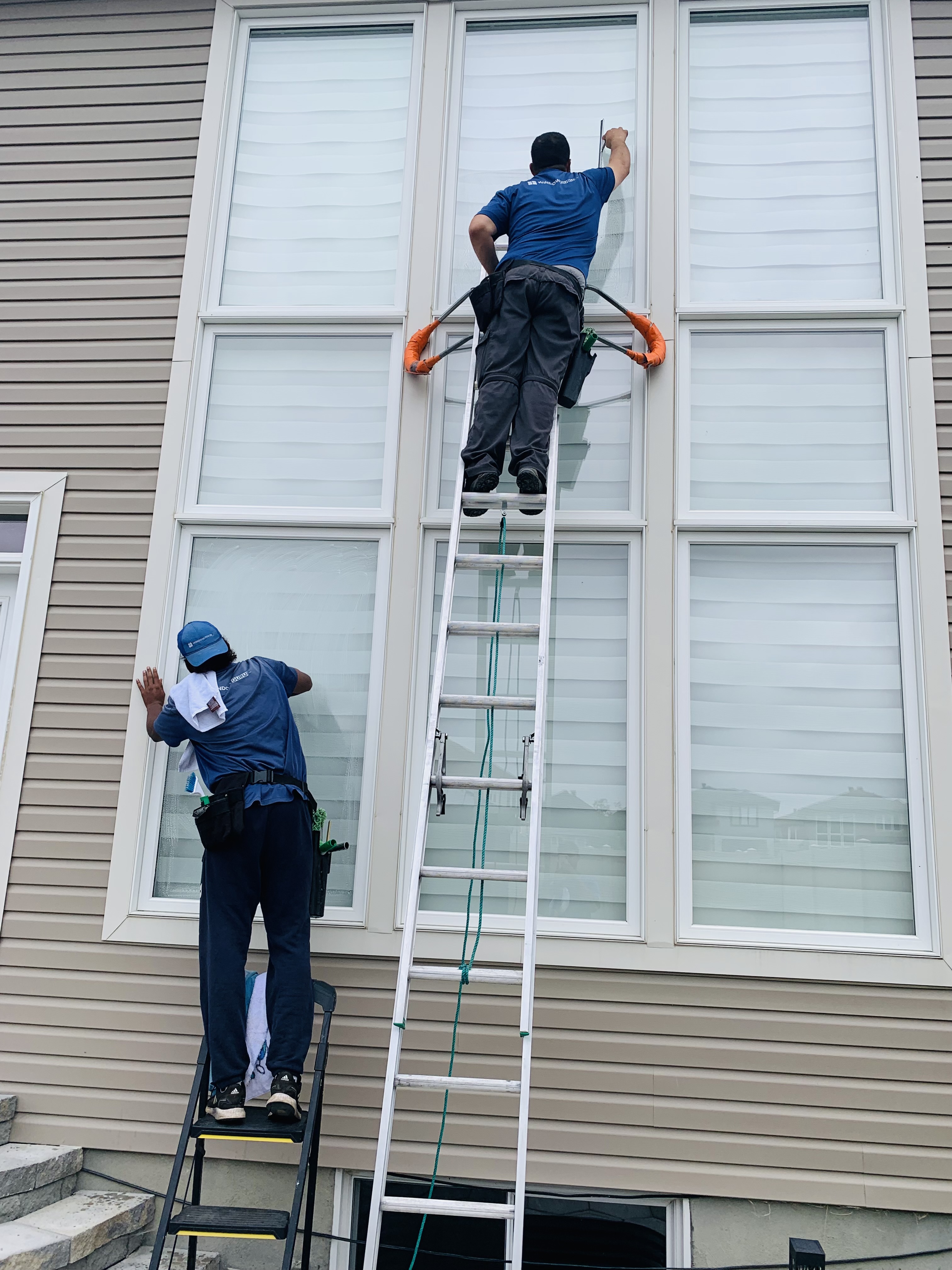 WindowGuru team providing window cleaning services